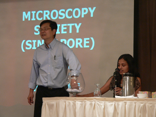 MSS2007-82